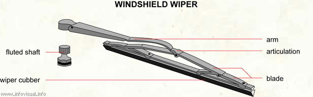 Windshield wiper